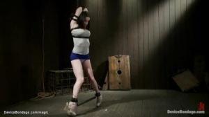 Bound in upright position flogged