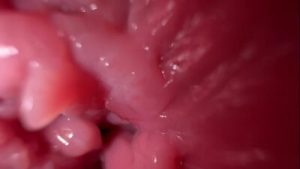 Close up pussy spreading and dirty talk