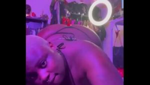 ???? ????? ?????? ??????? ?