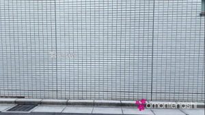 My Ex Girlfriend Loves To Lick Armpits And Anal Holes…Trailer1