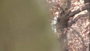 Nataly Lancaster Plays Strange Games Of Perversion