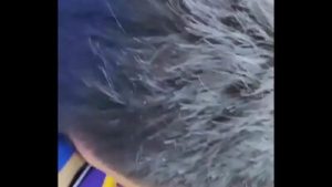 Couple Gay Asian Amateur Handsome Fucking Bareback