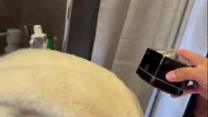 Después de la clase de natación, después de hacer toninas, trozo y trolls, en casa competimos a ver quién se coge duro al novato