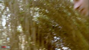 Young French Angela Kiss jerks off and gets fucked in the reeds