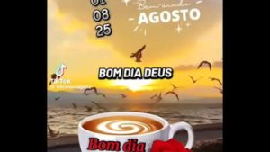 Vídeo de verificação