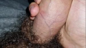 Dia de bater uma punheta com meu pau peludo