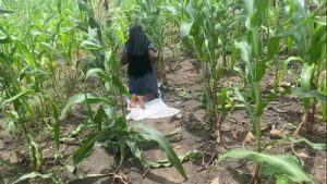 She received doggy after farming