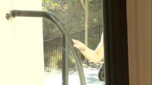 Kira Lynn Prefers Black Dick Up Her Twat