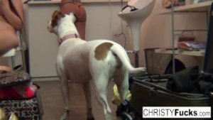 Three sexy pornstars play with each other’s pussies