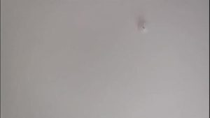 Nuestro primer video