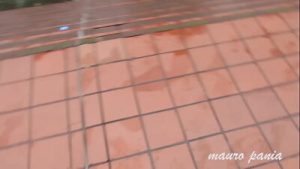 A Good Blowjob in POV from the Colombian coffee seller MichelChica