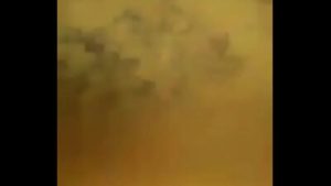 Amateur shemale blowjob on bed