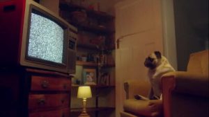 BENEFIT MONKEY: Coco Bae relaxes with Alex The Monkey – Exclusive Teaser!