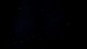 Cara pauzudo esgarçando a buceta da MILF brasileira Lenev88 por trás