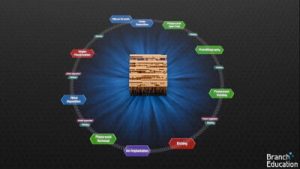 How are CPU’s made by BranchEducation on YouTube