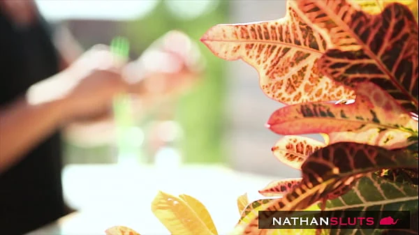 Outdoor Quickie By The Pool For Amirah Adara – 4K teaser