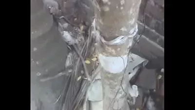 gosol bangladeshi aunty 2