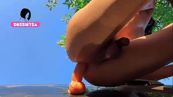 Beautiful shemale girl masturbating after going to the market