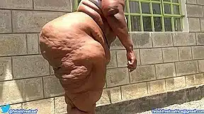 Big Booty Judy Booty Shake