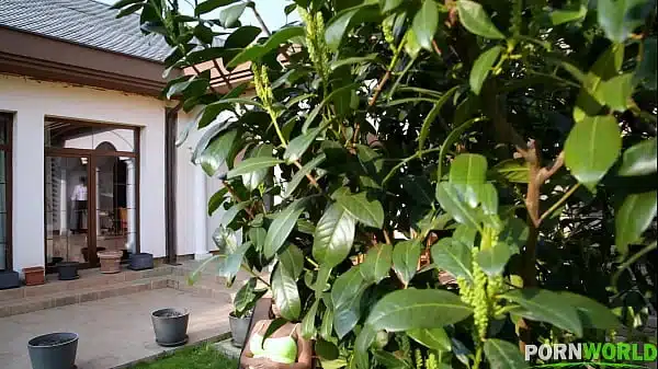 Blowjob For The Servant