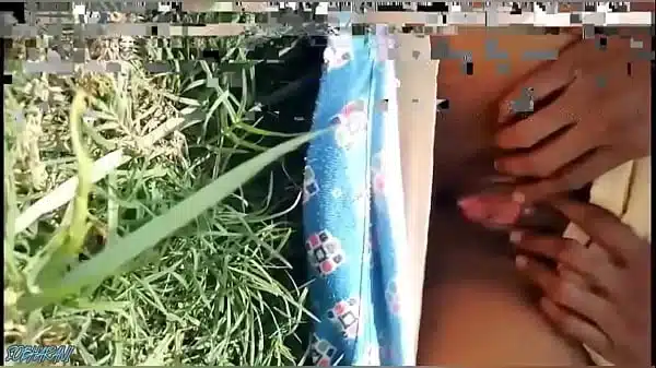 desi bhabhi fingering in the wheat fields village bhabhi fucking xxx video