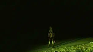 Dominant males have an important duty of care towards the dumb mindless whores