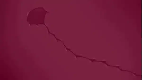 Gay furry porn 4: friends on the beach