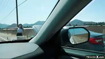 I picked me up a horny trans hitchhiker