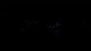 “LATINA porn” intended to evoke a strong sensory response