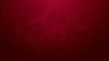 Lexistar – First rough DP 2on1