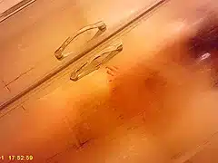 Spying on my roommate in the shower