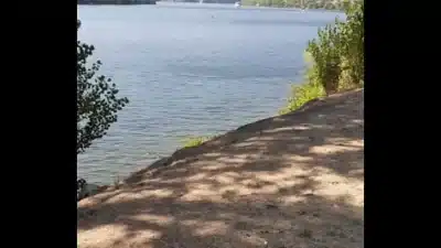 Top XVIDEOS Porn Star Davi Seen At Douro River