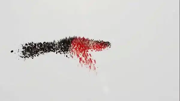 Valentina Noir adora apanhar e ser comida com força