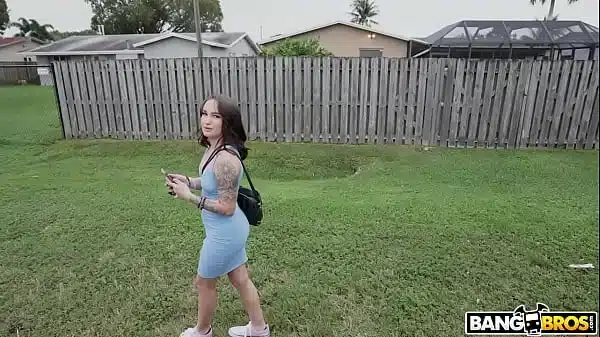 A Cute Bunny In The Bus