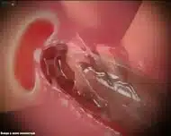 Creampied wonder woman full porn futa big dick cum tits blowjob futanari futa 3d cum 3d porn hentai shemale sissy