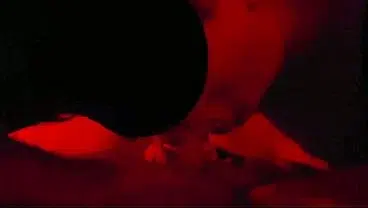 Hot GIRL gives a slow sexy blow job. Up close and personal! Red Light Videos #11