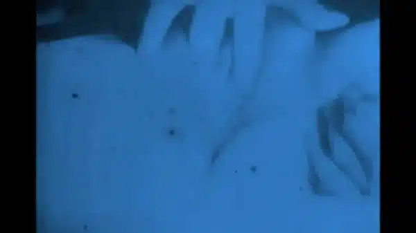 Vintage 19th & 20th Century Pornostalgia