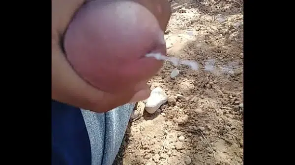 xnxx com 31