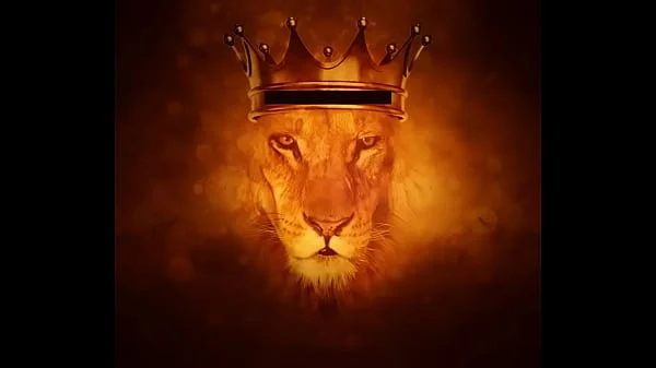 Ez Leão , Lion.