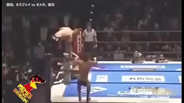 XVIDEOS
