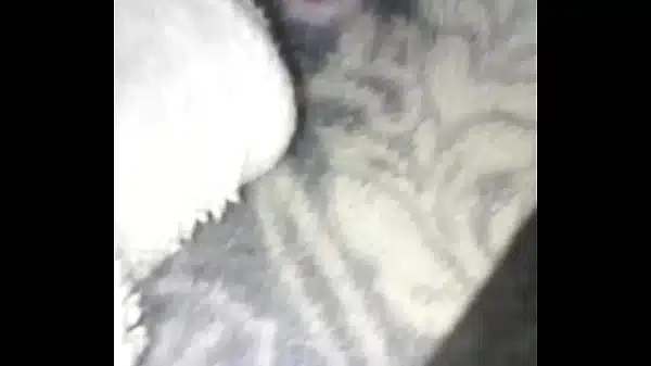 Xvideos presents black nasty