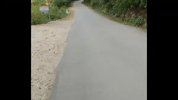 Desi